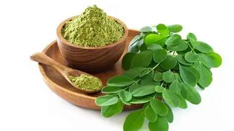 Moringa en Poudre 50g